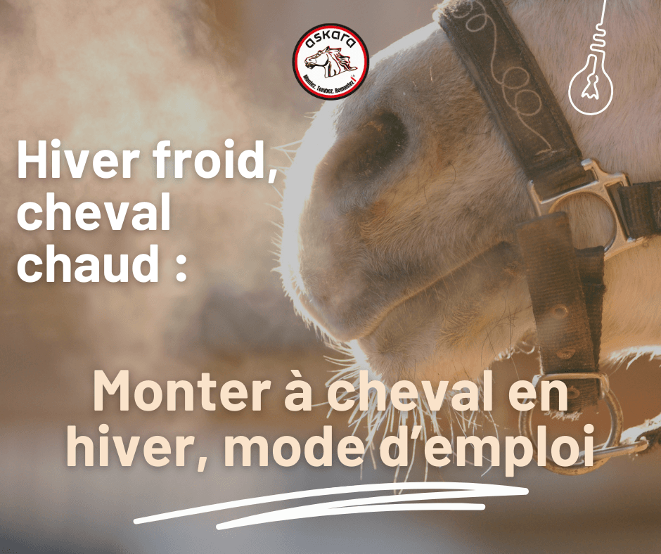 Dans cet article, nous vous donnons tous nos conseils et astuces pour monter à cheval en hiver, dans le confort et la sécurité !