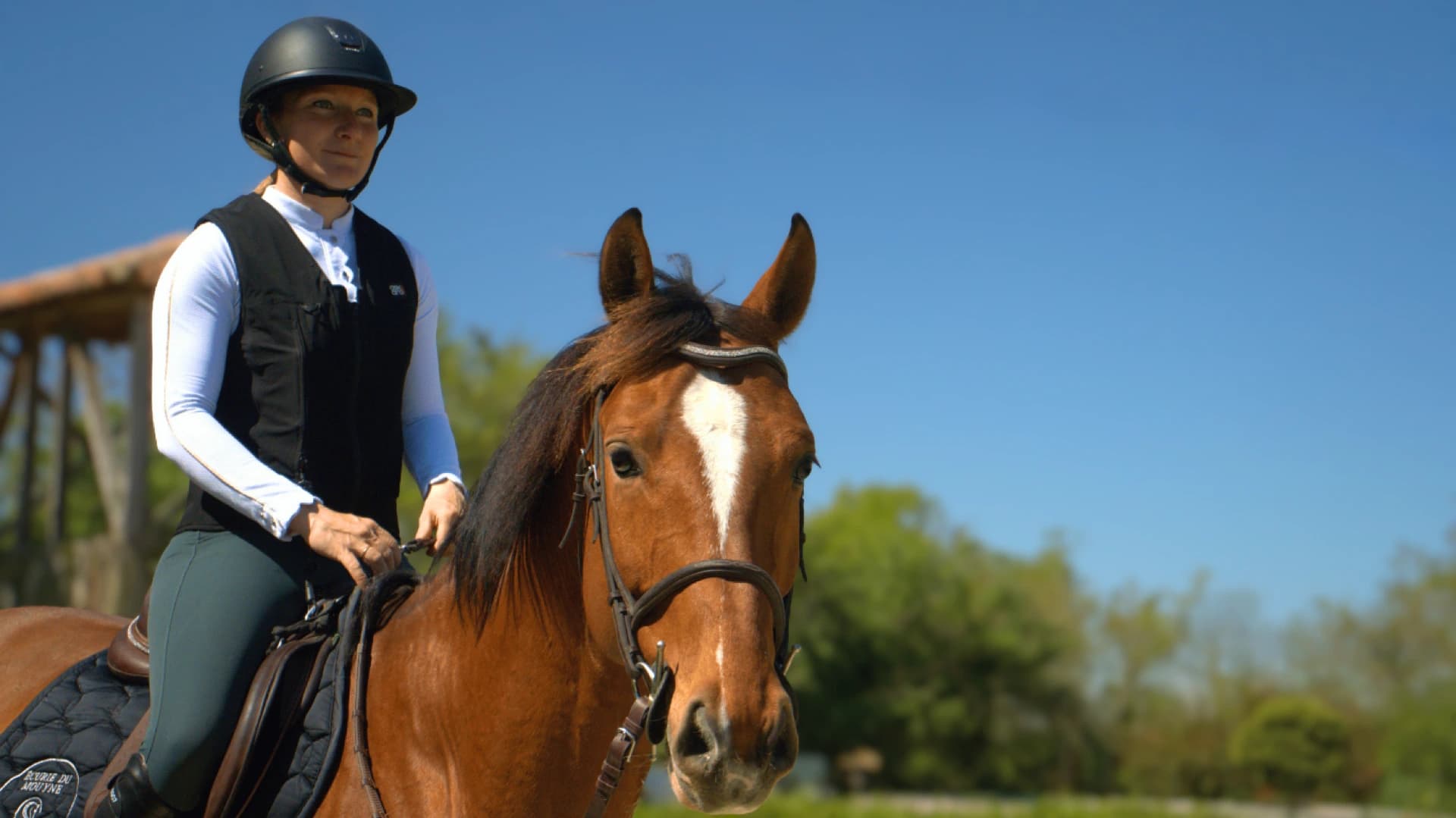 Askara - equipement equestre